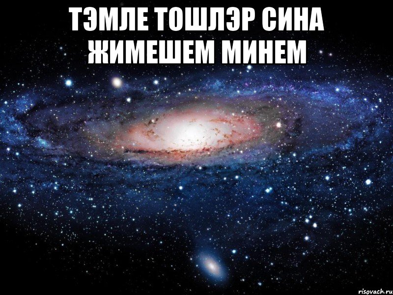 Тэмле тошлэр жимешем картинки