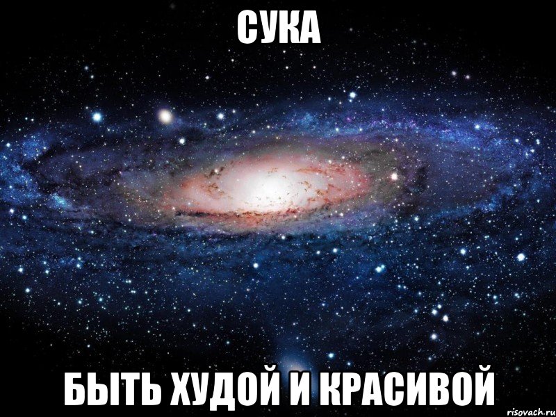 сука БЫТЬ ХУДОЙ И КРАСИВОЙ, Мем Вселенная