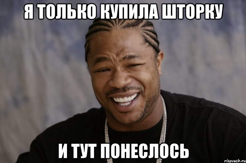 я только купила шторку и тут понеслось, Мем Xzibit