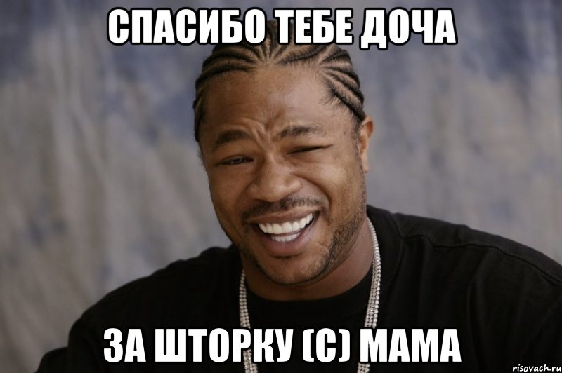 спасибо тебе доча за шторку (с) Мама, Мем Xzibit