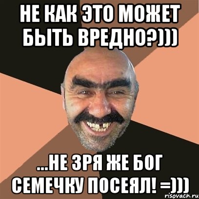 Не как это может быть вредно?))) ...не зря же бог семечку посеял! =))), Мем Я твой дом труба шатал