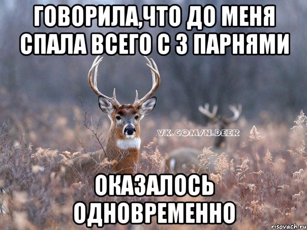 говорила,что до меня спала всего с 3 парнями оказалось одновременно, Мем   Наивный олень