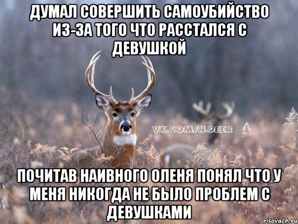 думал совершить самоубийство из-за того что расстался с девушкой почитав наивного оленя понял что у меня никогда не было проблем с девушками