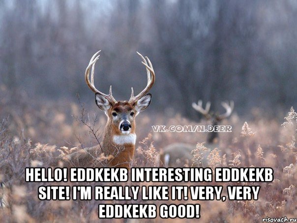 Hello! eddkekb interesting eddkekb site! I'm really like it! Very, very eddkekb good!, Мем   Наивный олень