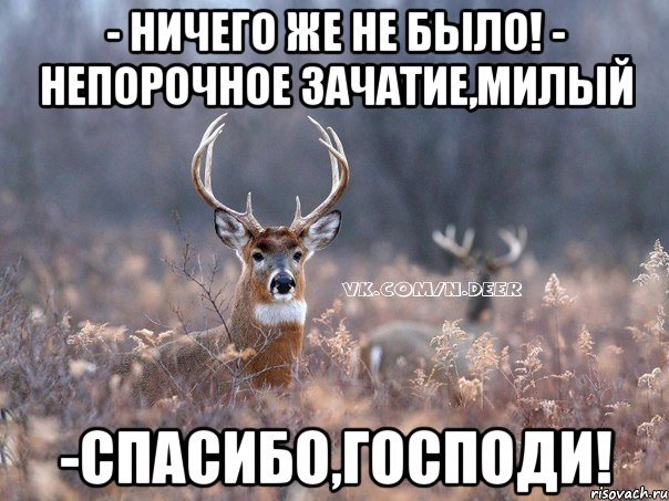 - ничего же не было! - непорочное зачатие,милый -спасибо,господи!