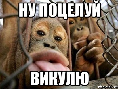 Ну поцелуй Викулю