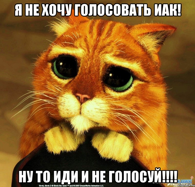 Я не хочу голосовать иак! Ну то иди и не голосуй!!!!, Мем Котик из Шрека