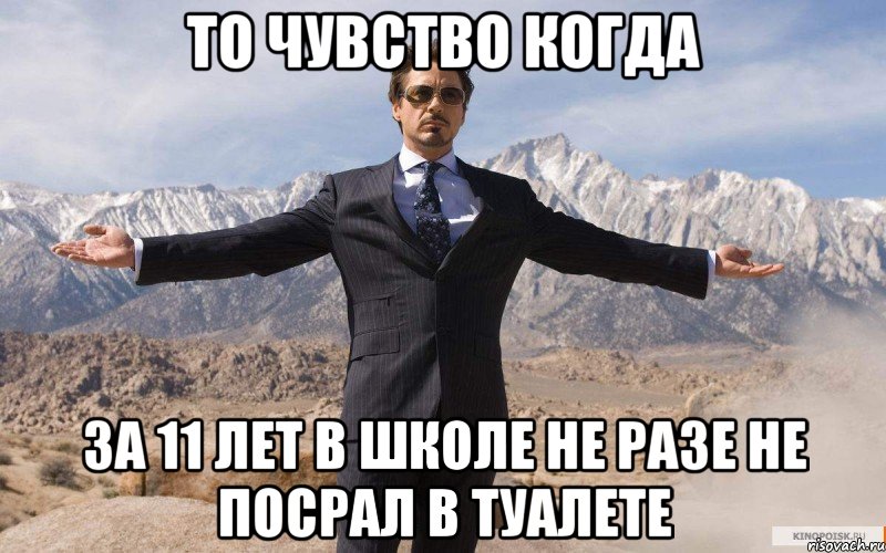 То чувство когда за 11 лет в школе не разе не посрал в туалете, Мем железный человек