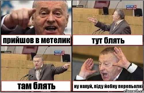 прийшов в метелик тут блять там блять ну нахуй, піду йобну перепьолкі, Комикс жиреновский