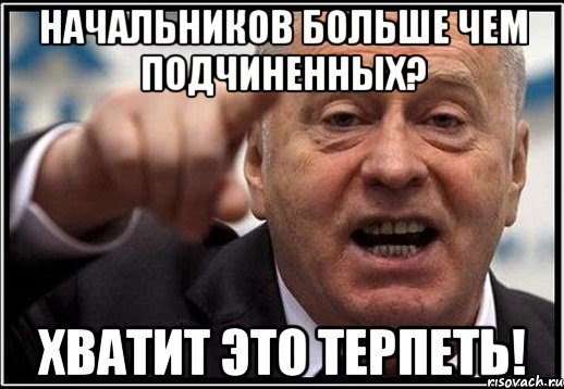 Начальников больше чем подчиненных? Хватит это терпеть!, Мем жириновский ты