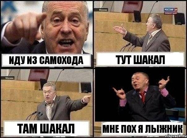 иду из самохода тут шакал там шакал мне пох я лыжник, Комикс Жириновский клоуничает