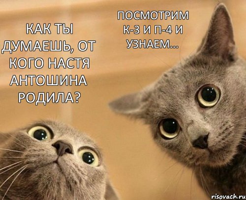 Как ты думаешь, от кого Настя Антошина родила? Посмотрим К-3 и П-4 и узнаем..., Комикс  2 кота