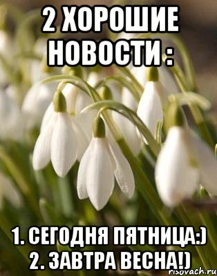 Русский человек ждет 3 вещи весну пятницу. С весенней пятницей. С пятницей апреля.