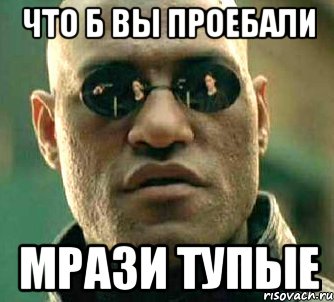 Вы что совсем тупые картинка