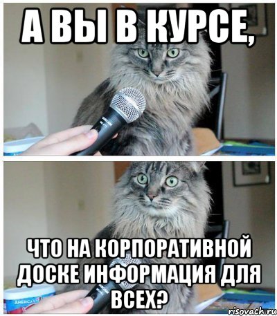 А вы в курсе, что на корпоративной доске информация для всех?, Комикс  кот с микрофоном