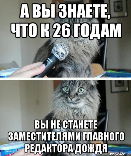 а вы знаете, что к 26 годам вы не станете заместителями главного редактора Дождя, Комикс  кот с микрофоном