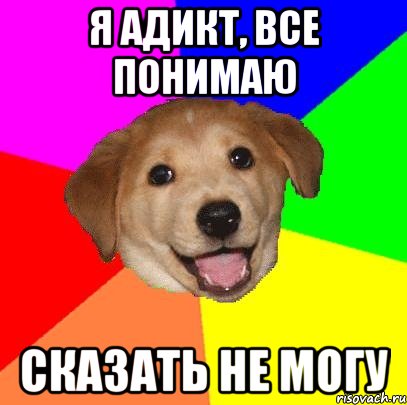 Я Адикт, все понимаю сказать не могу, Мем Advice Dog