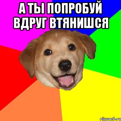 а ты попробуй вдруг втянишся , Мем Advice Dog