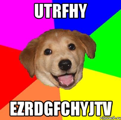 utrfhy ezrdgfchyjtv, Мем Advice Dog