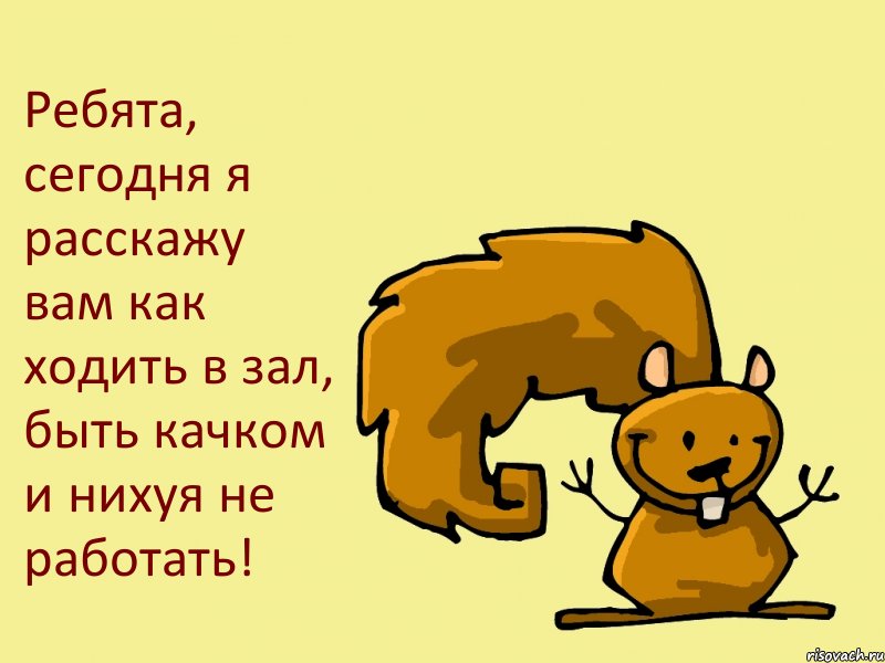 Ребята, сегодня я расскажу вам как ходить в зал, быть качком и нихуя не работать!, Комикс  белка