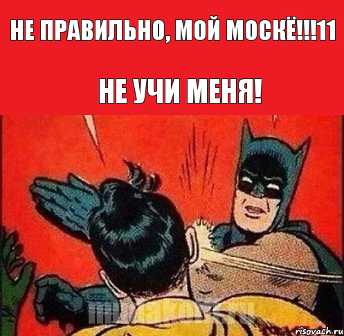 не правильно, мой москЁ!!!11 Не учи меня!, Комикс   Бетмен и Робин
