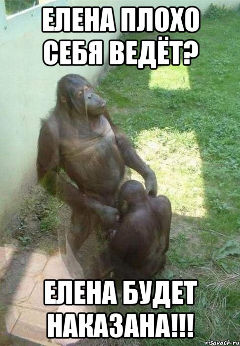 Елена плохо себя ведёт? Елена будет наказана!!!, Мем бибизян