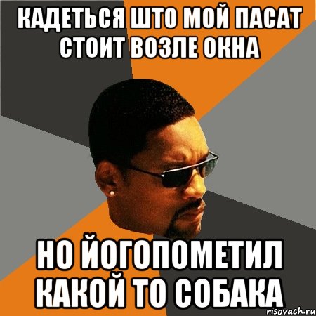 Кадеться што мой пасат стоит возле окна Но йогопометил какой то собака, Мем Будь плохим парнем