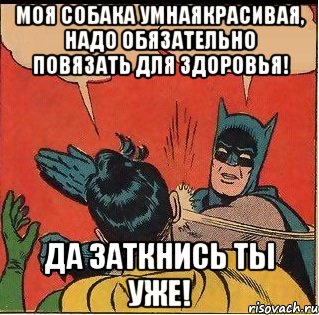 Моя собака умнаякрасивая, надо обязательно повязать для здоровья! Да заткнись ты уже!, Комикс   Бетмен и Робин