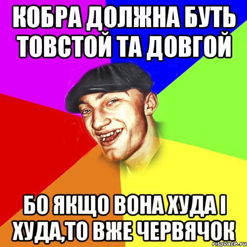 кобра должна буть товстой та довгой бо якщо вона худа і худа,то вже червячок, Мем Чоткий Едик