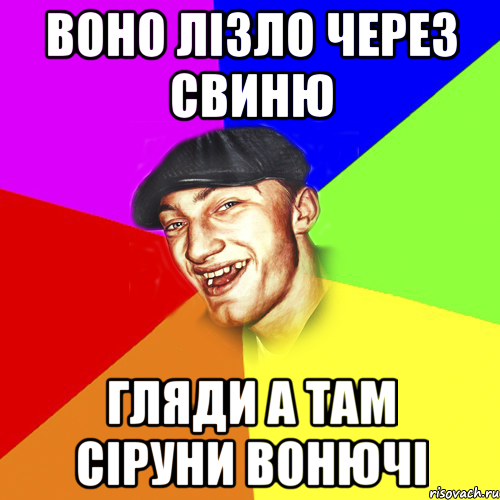 Воно лізло через свиню Гляди а там сіруни вонючі, Мем Чоткий Едик