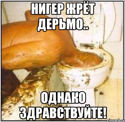 Нигер жрёт дерьмо.. Однако Здравствуйте!, Мем Дайвер