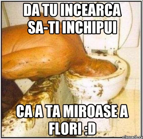 da tu incearca sa-ti inchipui ca a ta miroase a flori :D, Мем Дайвер