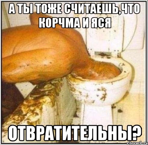 А ТЫ ТОЖЕ СЧИТАЕШЬ,ЧТО КОРЧМА И ЯСЯ ОТВРАТИТЕЛЬНЫ?, Мем Дайвер