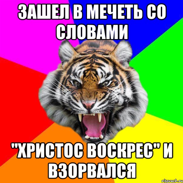 зашел в мечеть со словами "Христос Воскрес" и взорвался, Мем  ДЕРЗКИЙ ТИГР