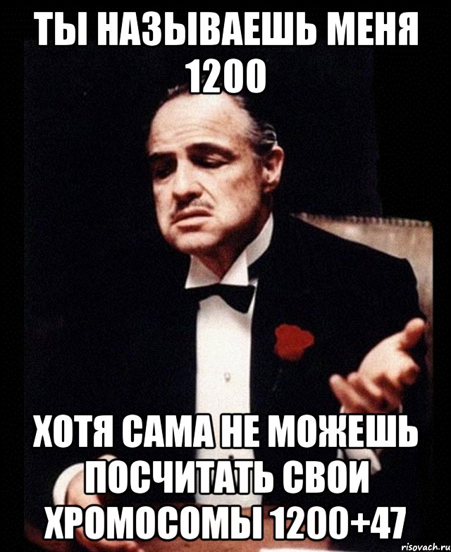 Ты называешь меня 1200 хотя сама не можешь посчитать свои хромосомы 1200+47, Мем ты делаешь это без уважения