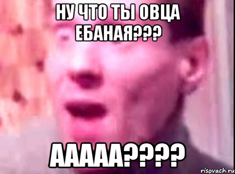 ну что ты овца ебаная??? ааааа????, Мем Дверь мне запили