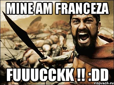 mine am franceza Fuuucckk !! :DD, Мем Это Спарта