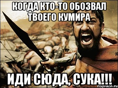 Когда кто-то обозвал твоего кумира Иди сюда, сука!!!, Мем Это Спарта