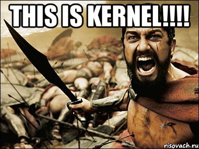 This is kernel!!!! , Мем Это Спарта