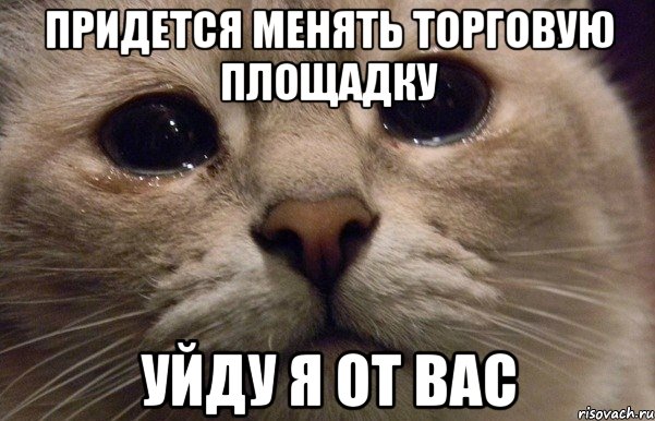 придется менять торговую площадку УЙДУ Я ОТ ВАС, Мем   В мире грустит один котик