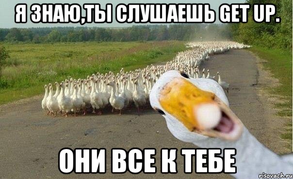 я знаю,ты слушаешь Get up. они все к тебе, Мем гуси