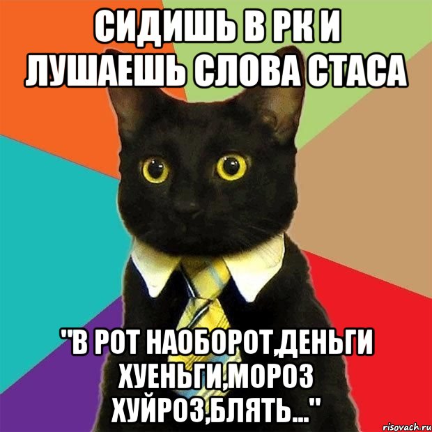 СИДИШЬ В РК И ЛУШАЕШЬ СЛОВА СТАСА "В РОТ НАОБОРОТ,ДЕНЬГИ ХУЕНЬГИ,мороз хуйроз,блять...", Мем  Кошечка