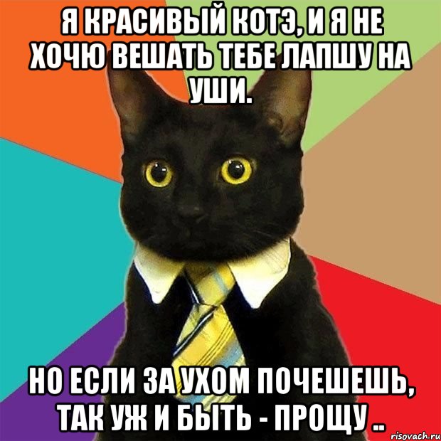 Я красивый КоТэ, и я не хочю вешать тебе лапшу на уши. Но если за ухом почешешь, так уж и быть - прощу .., Мем  Кошечка