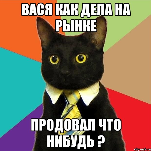 вася как дела на рынке продовал что нибудь ?, Мем  Кошечка