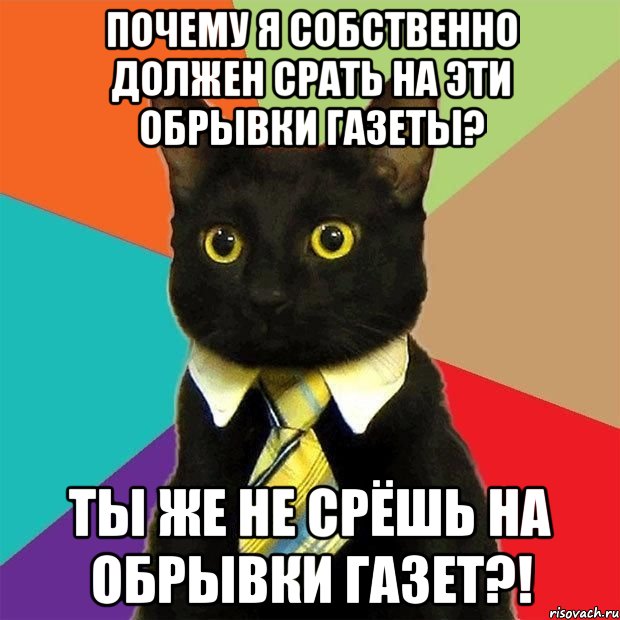 ПОЧЕМУ Я СОБСТВЕННО ДОЛЖЕН СРАТЬ НА ЭТИ ОБРЫВКИ ГАЗЕТЫ? ТЫ ЖЕ НЕ СРЁШЬ НА ОБРЫВКИ ГАЗЕТ?!, Мем  Кошечка