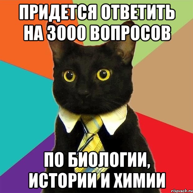 ПРИДЕТСЯ ОТВЕТИТЬ НА 3000 ВОПРОСОВ ПО БИОЛОГИИ, ИСТОРИИ И ХИМИИ, Мем  Кошечка