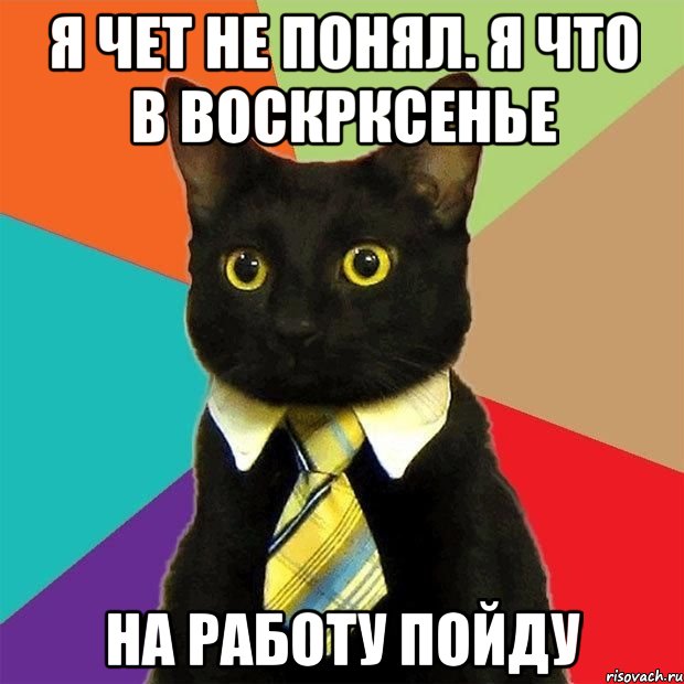 Я чет не понял. Я что в воскрксенье На работу пойду, Мем  Кошечка