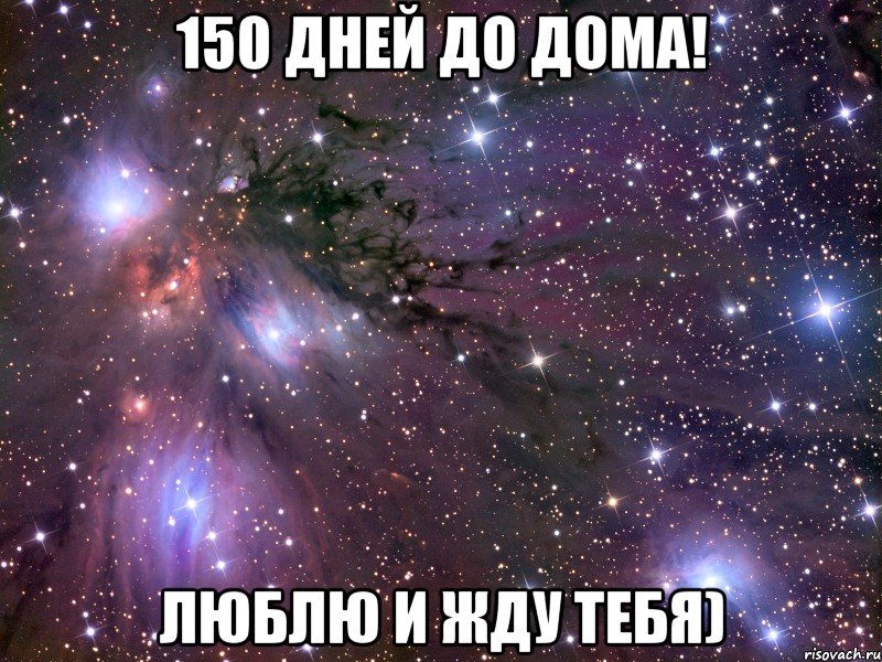 150 суток