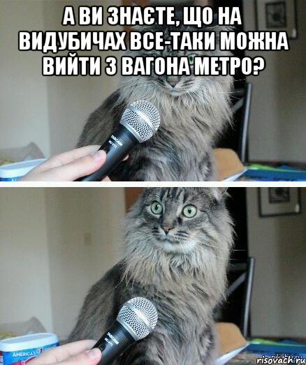 А ви знаєте, що на Видубичах все-таки можна вийти з вагона метро? , Комикс  кот с микрофоном