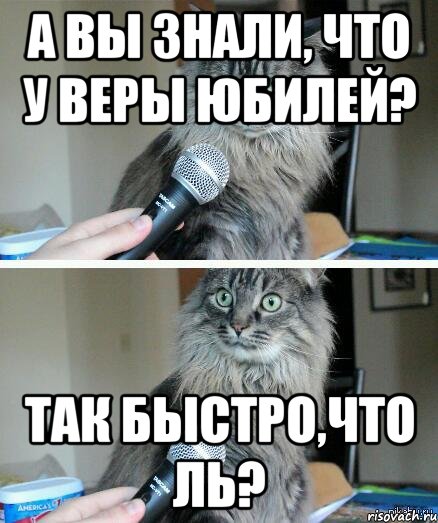 А вы знали, что у веры юбилей? Так быстро,что ль?, Комикс  кот с микрофоном